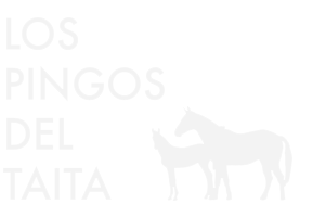 Los Pingos del Taita